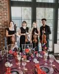 Jacksonville strings 05