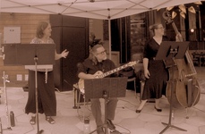 Lounge trio concert day 1