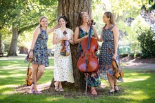 As 7 12 25 dylan randolph 2