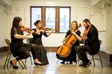 Quartet evolution 01