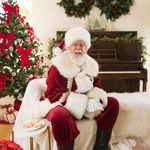 Santa profile