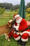 Santamark bandit