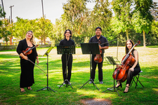 Serenade events copy