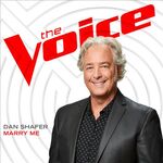 Dan shafer the voice merry me