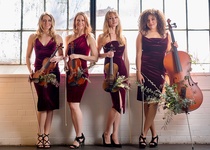 Palladio string 04