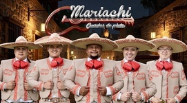 Mariachi cuerdas de plata 03