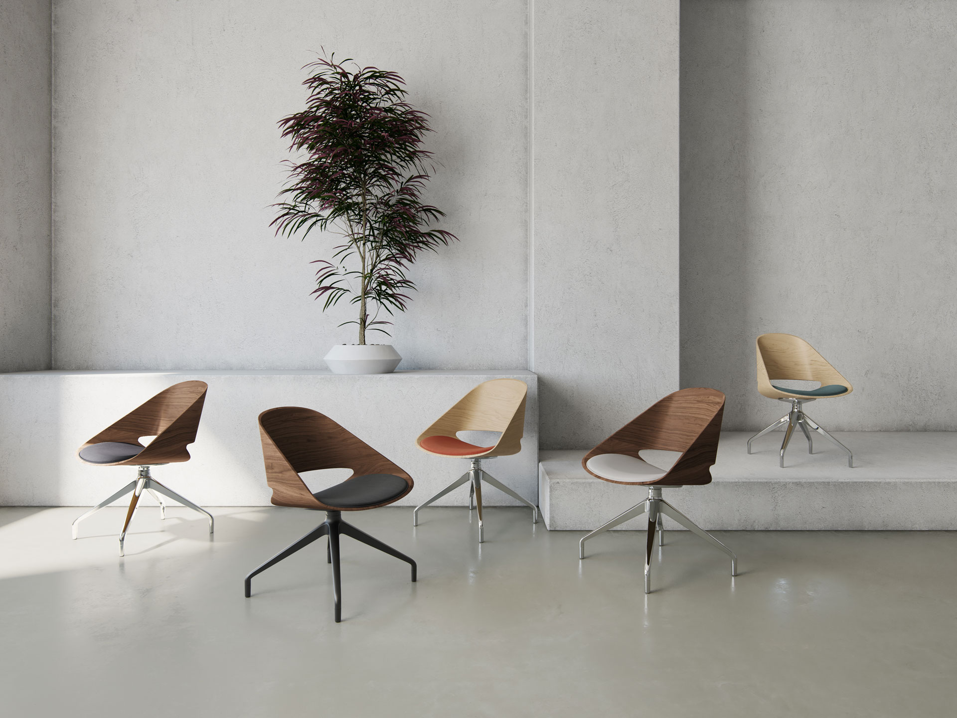 Arden Chair