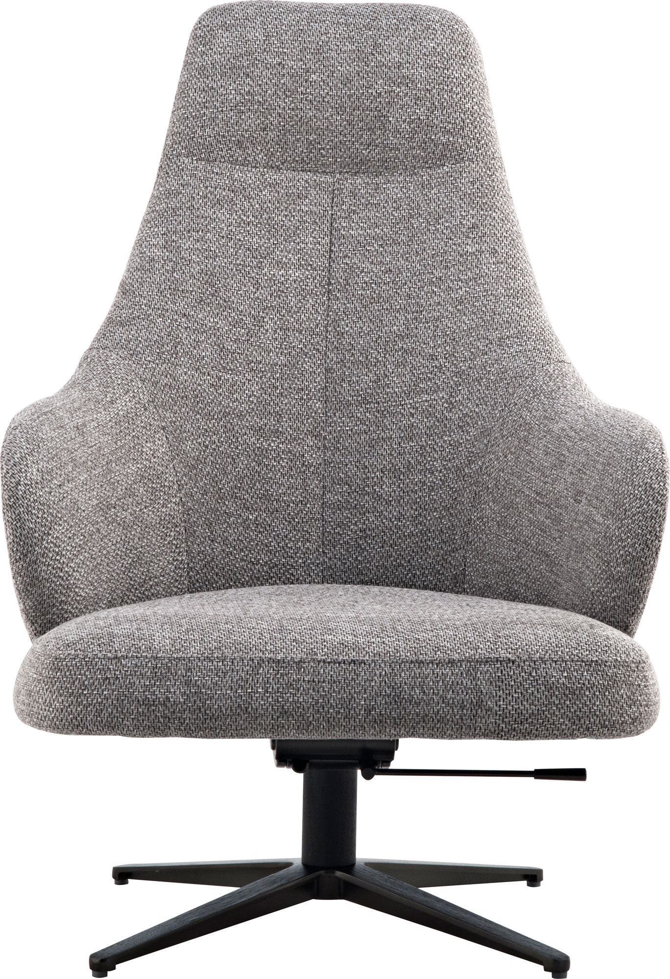 Bradhurst Lounge Chair