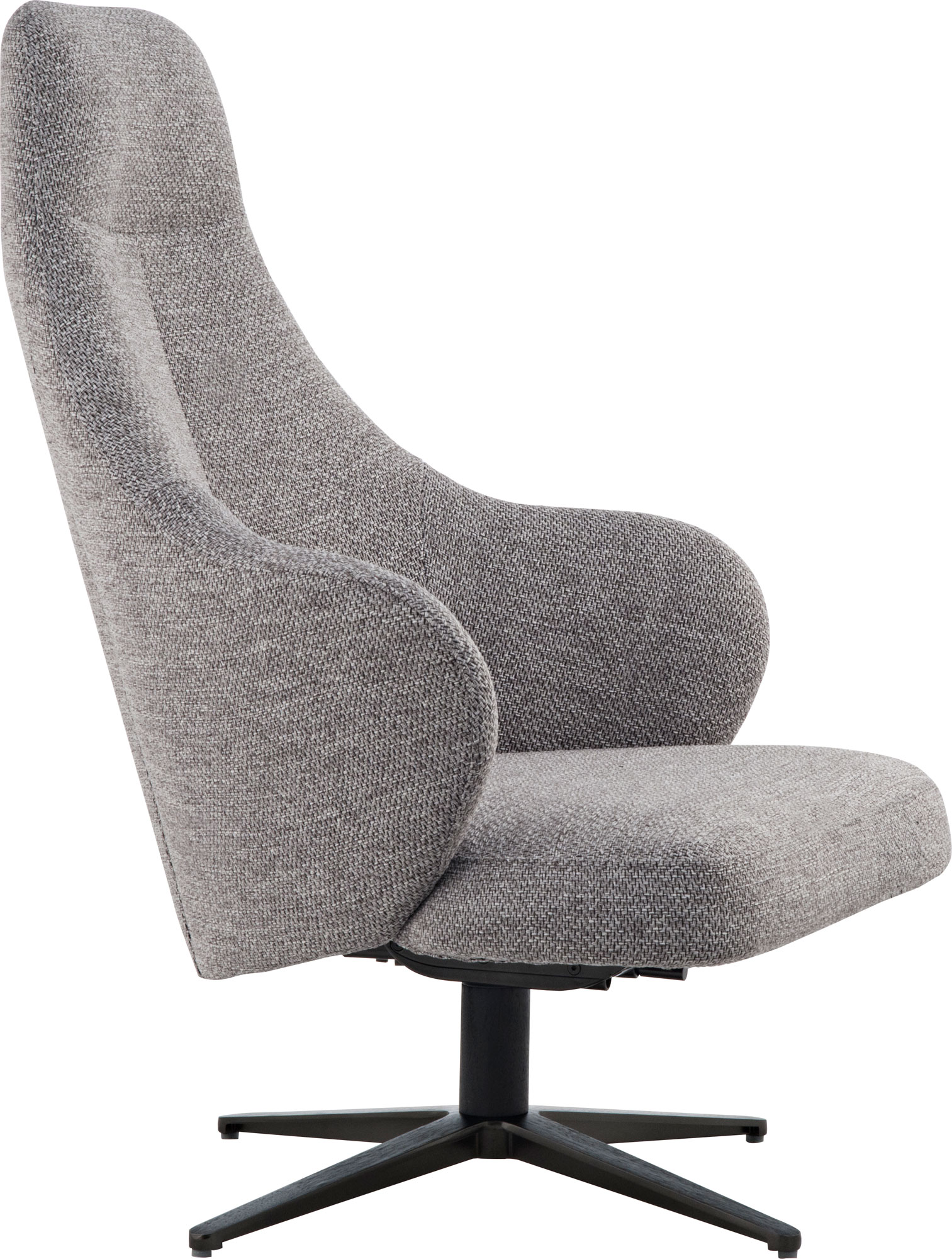 Bradhurst Lounge Chair