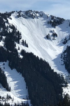 Photo for Wet Slab