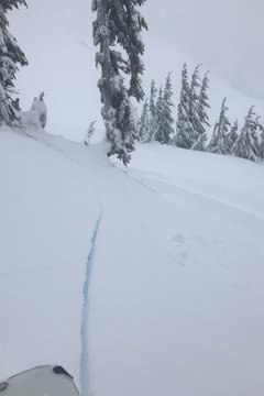 Photo for Storm Slab