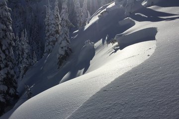 Photo for Persistent Slab