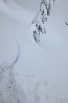 Photo for Storm Slab