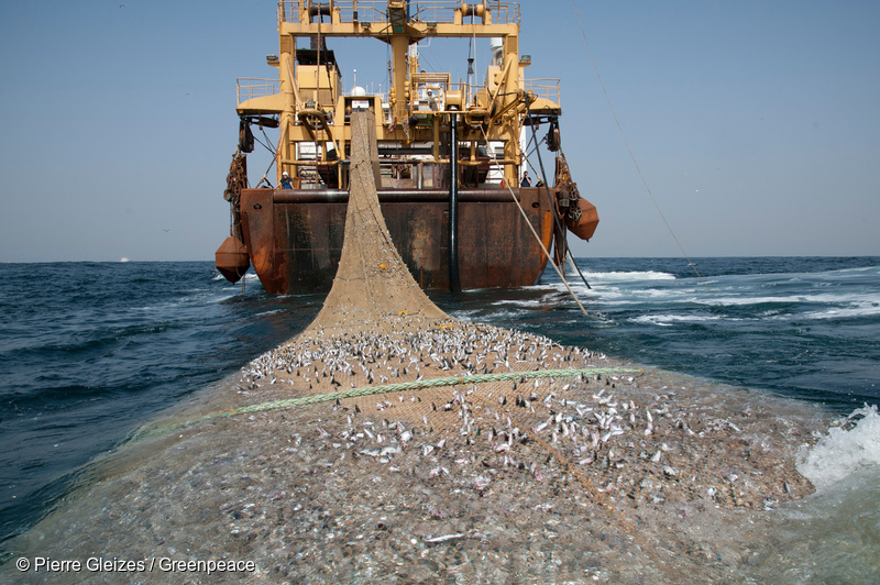Super Trawler Greenpeace