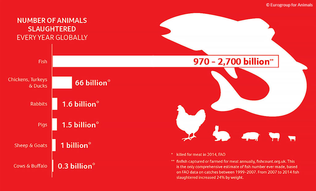 Eurogroup for Animals Number of Animals Slaughtered Every Year Globallyl