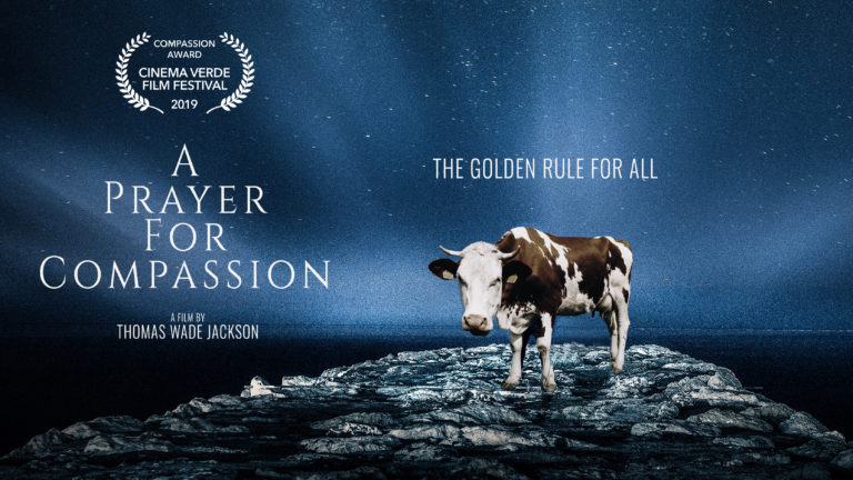 a-prayer-for-compassion