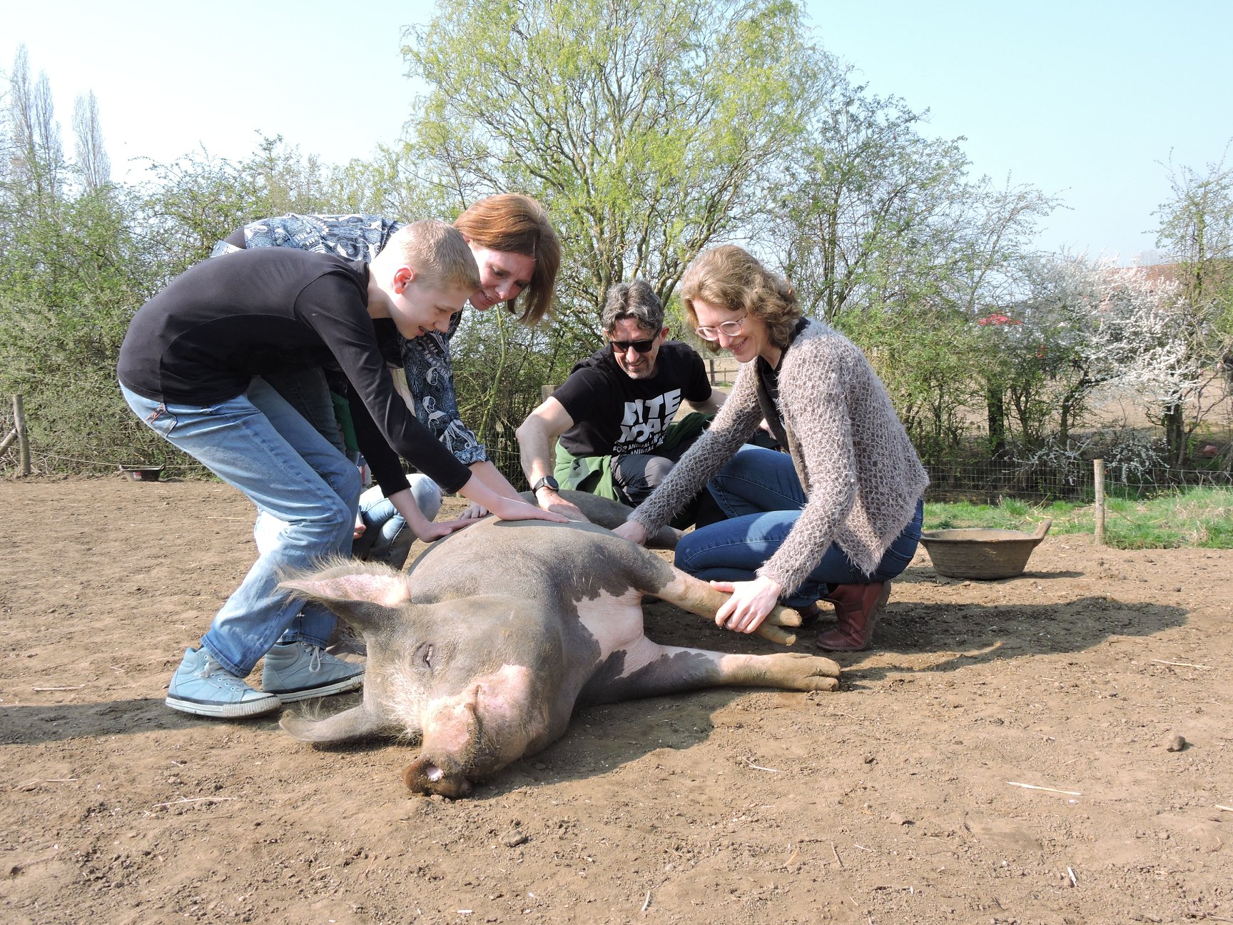animal-sanctuary