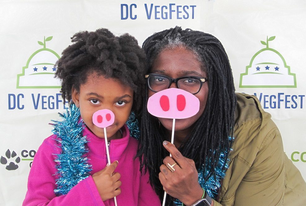 Image for Festivals & Fairs Grants