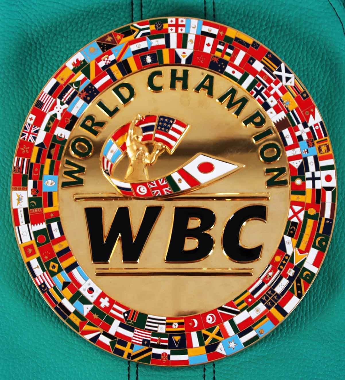 WBC Champion's Trainer Belt Memorabilia Expert
