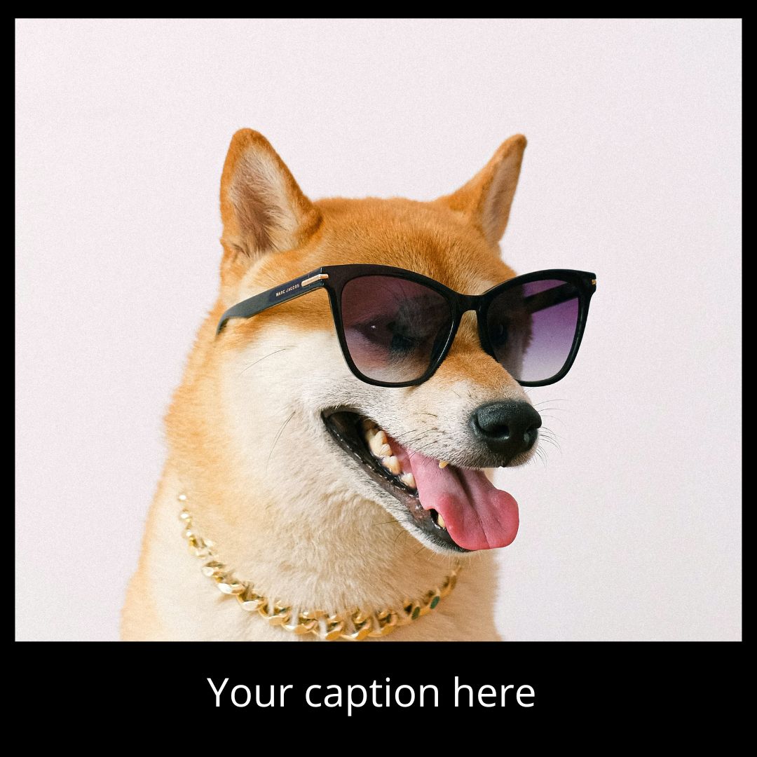 Meme Template - Layout 6