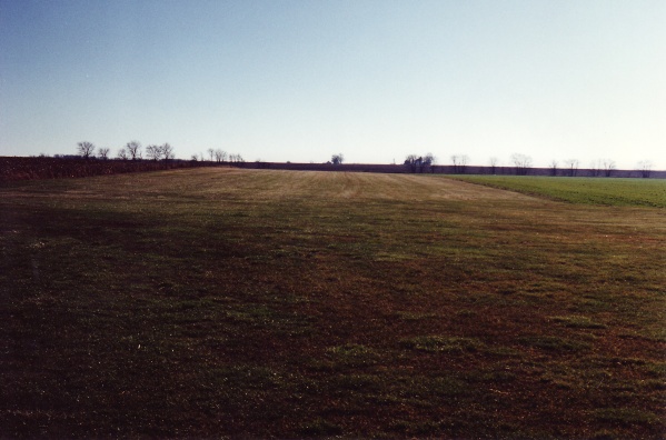 Grass strip