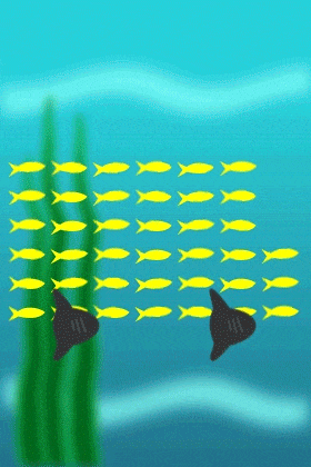 Fish Bus ecard