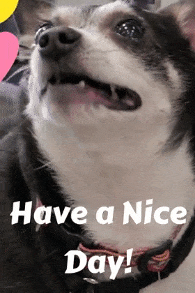 Dog With Smiley Hearts ecard
