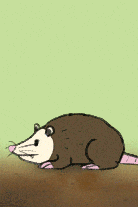 Possum and Kids ecard