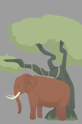 Sorry Elephant ecard