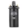 NGK.com: U1173 NGK 49030 Spark Plug Ignition Coil Replacement