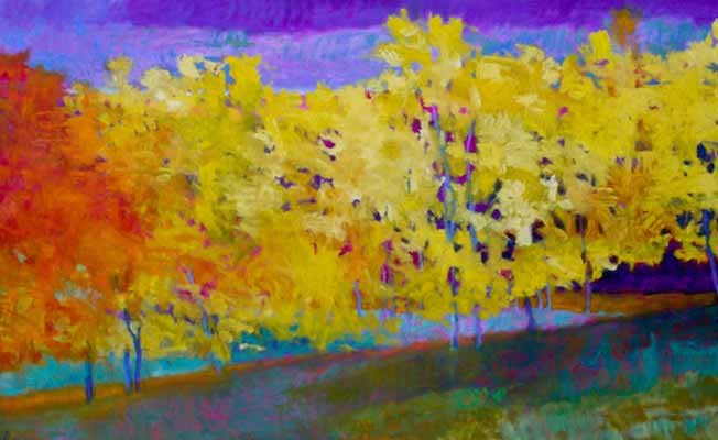 Noice Studio & Gallery slider image 4
