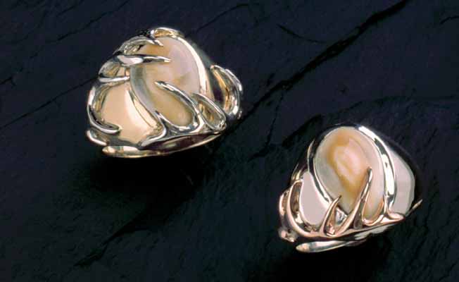 Don Rand Designs slider image 0