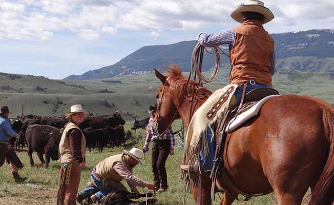 Dryhead Ranch slider image 1