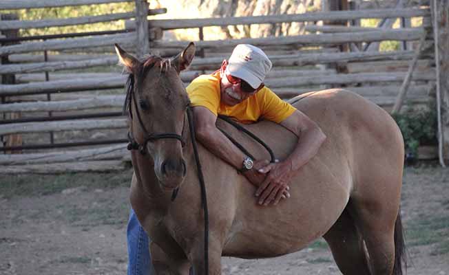 Dryhead Ranch slider image 2