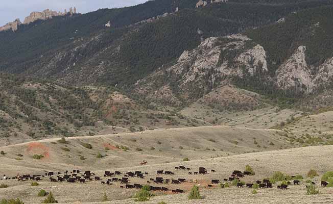 Dryhead Ranch slider image 4