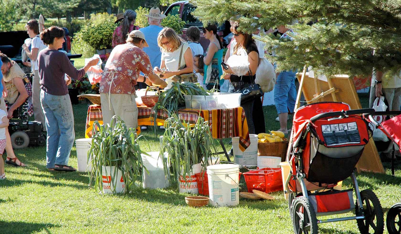 Livingston Farmers Market