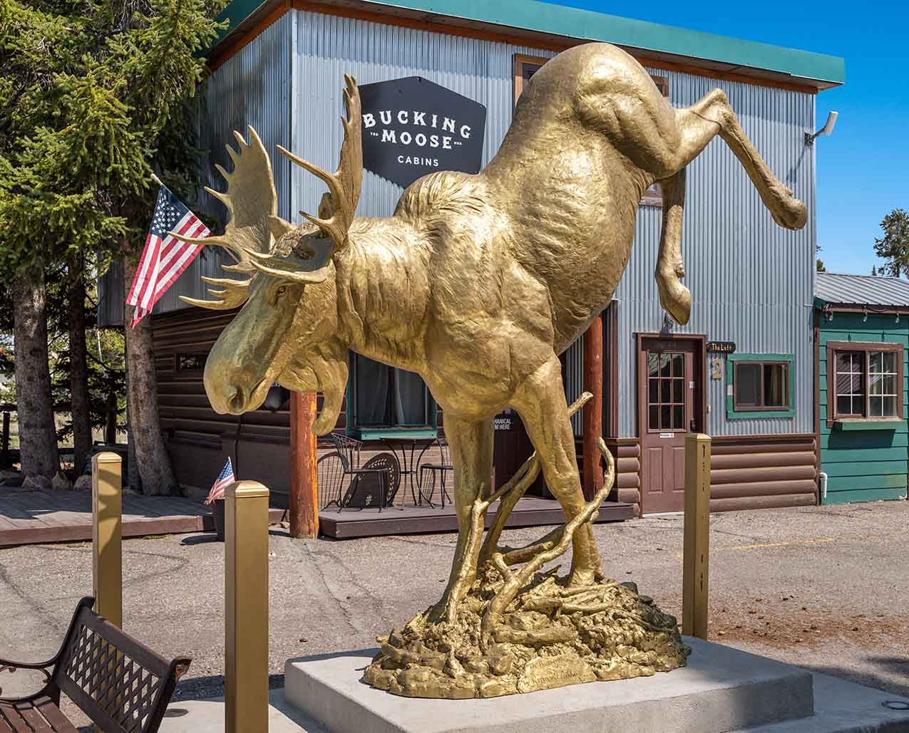 Bucking Moose header image