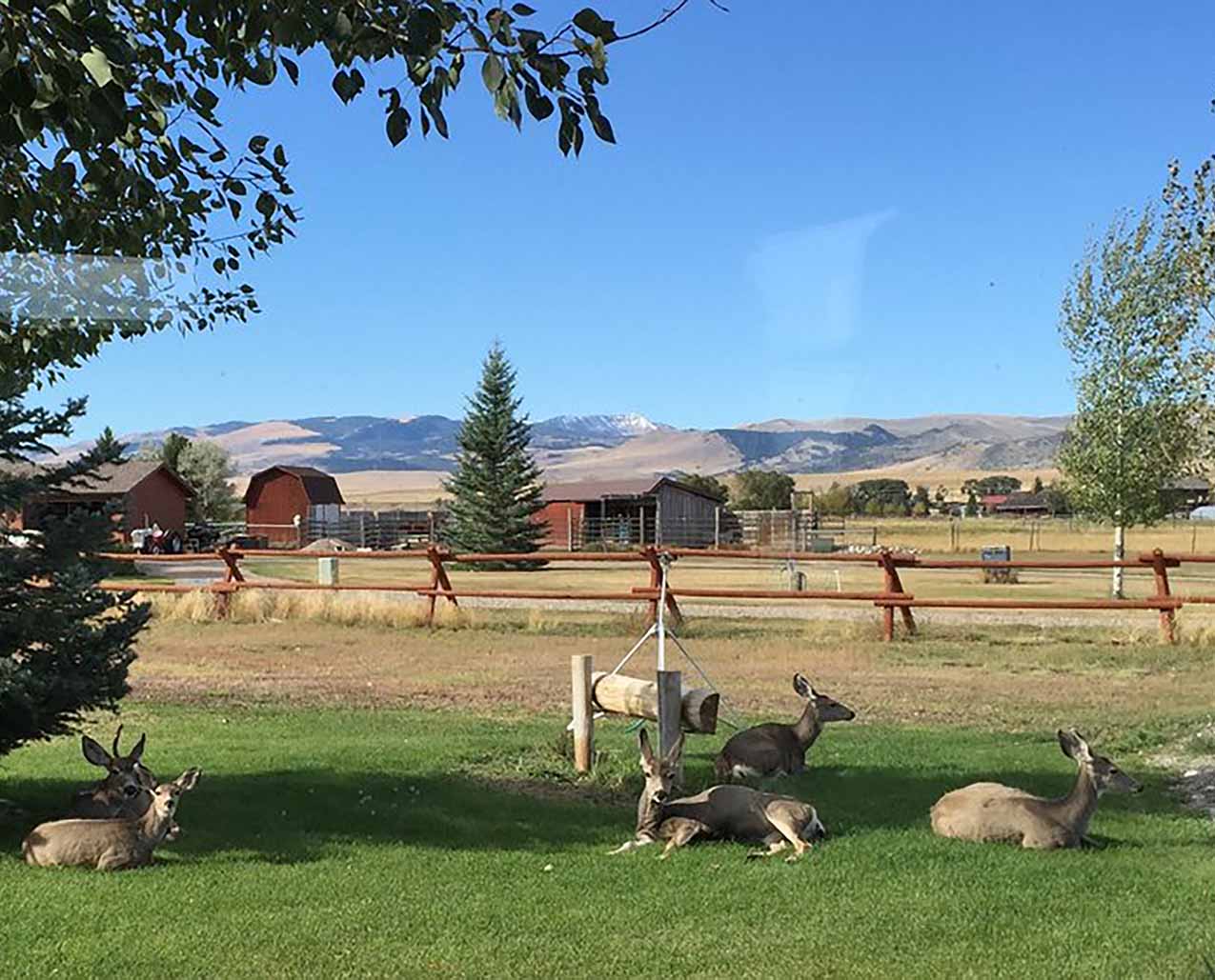 Madison River Angler's Rest and Retreat slider image 1
