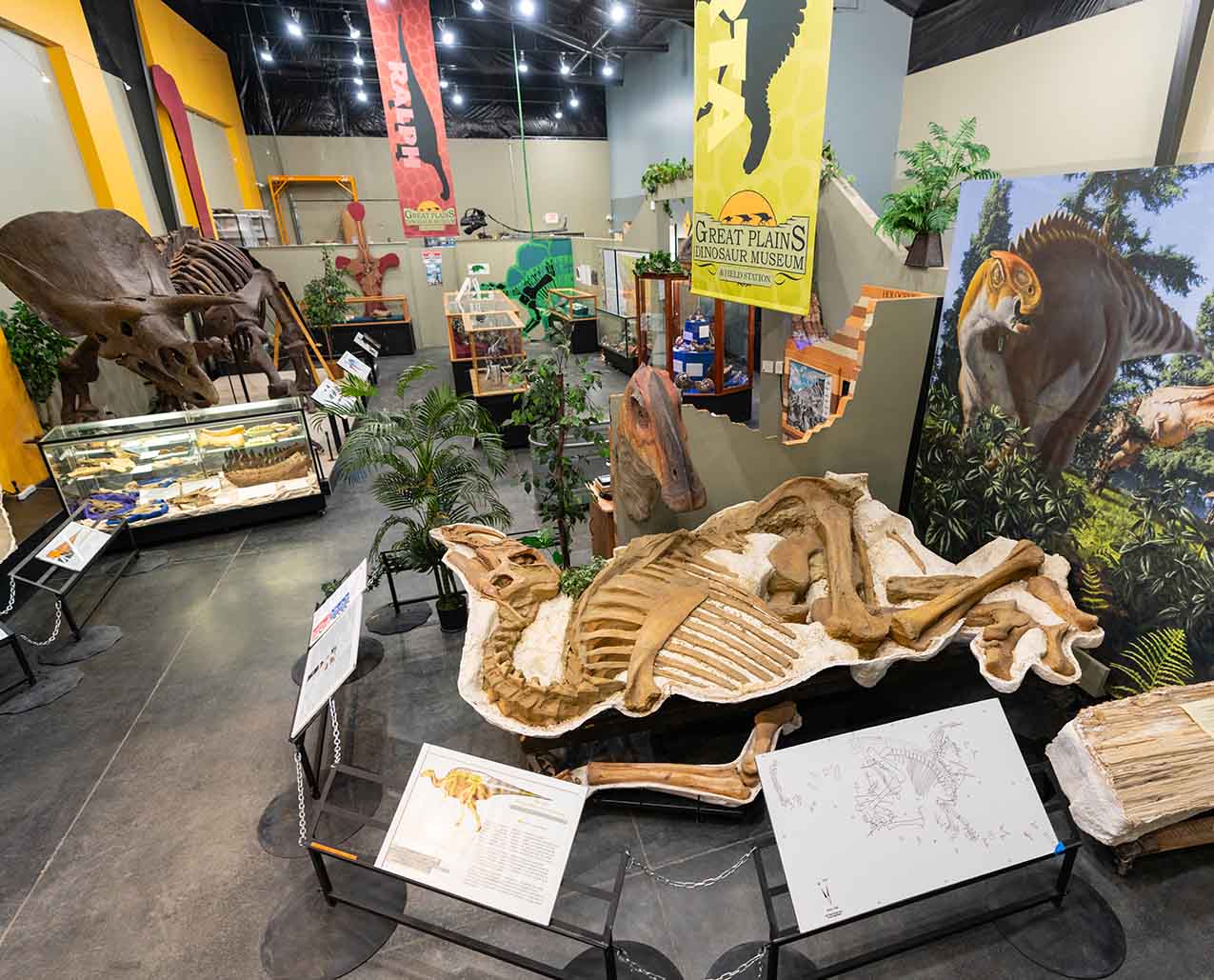 Great Plains Dinosaur Museum and Field Station slider image 1