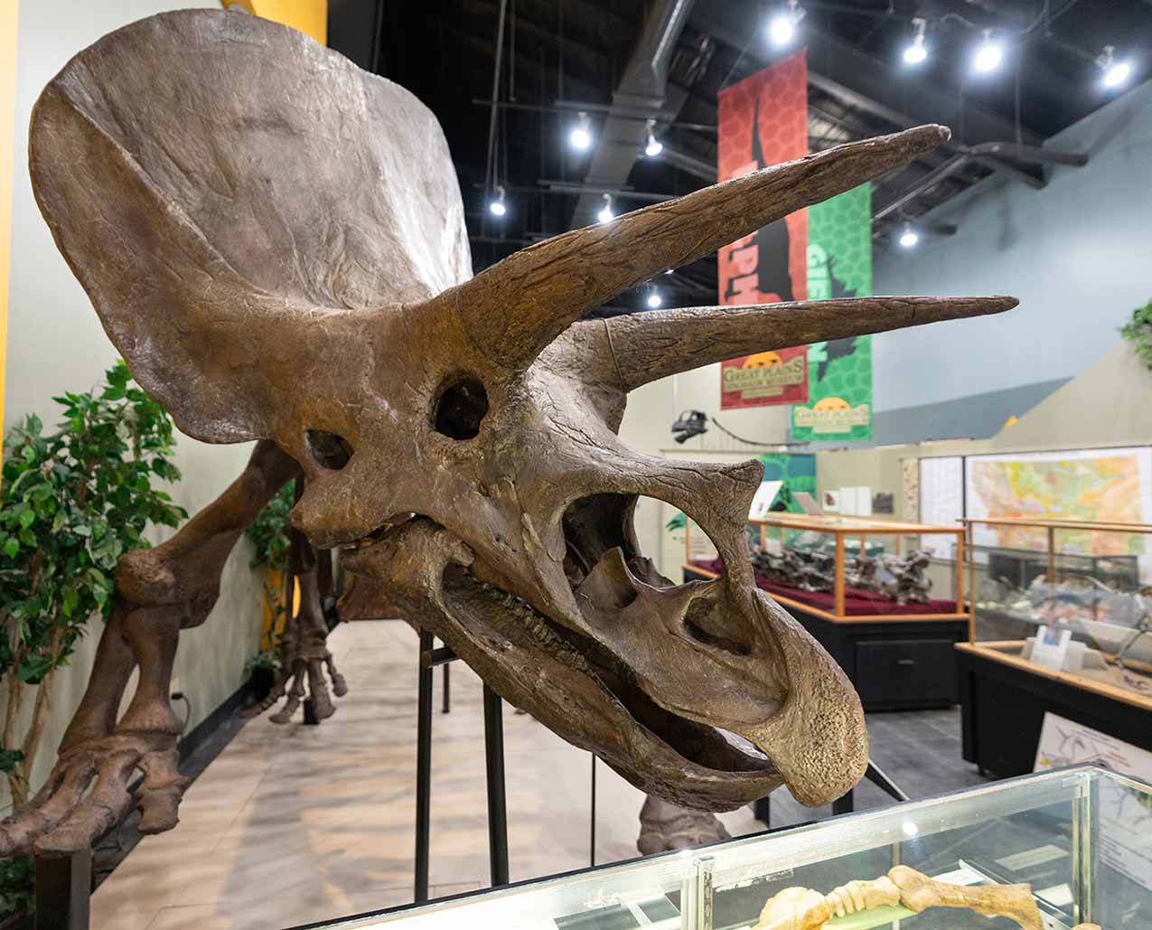 Great Plains Dinosaur Museum and Field Station