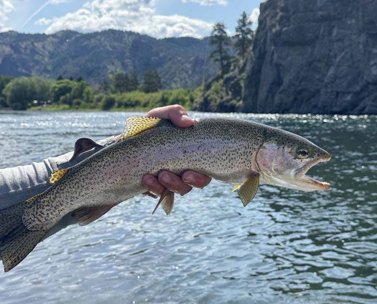 Riverstone Outfitters slider image 2