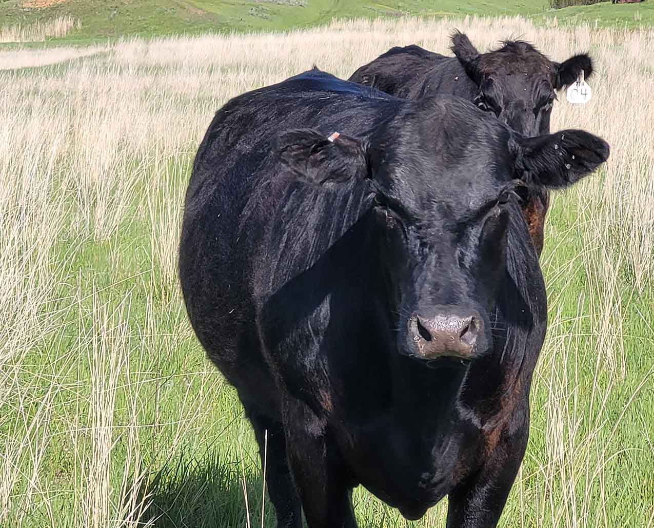 7TH Ranch Historical Tours