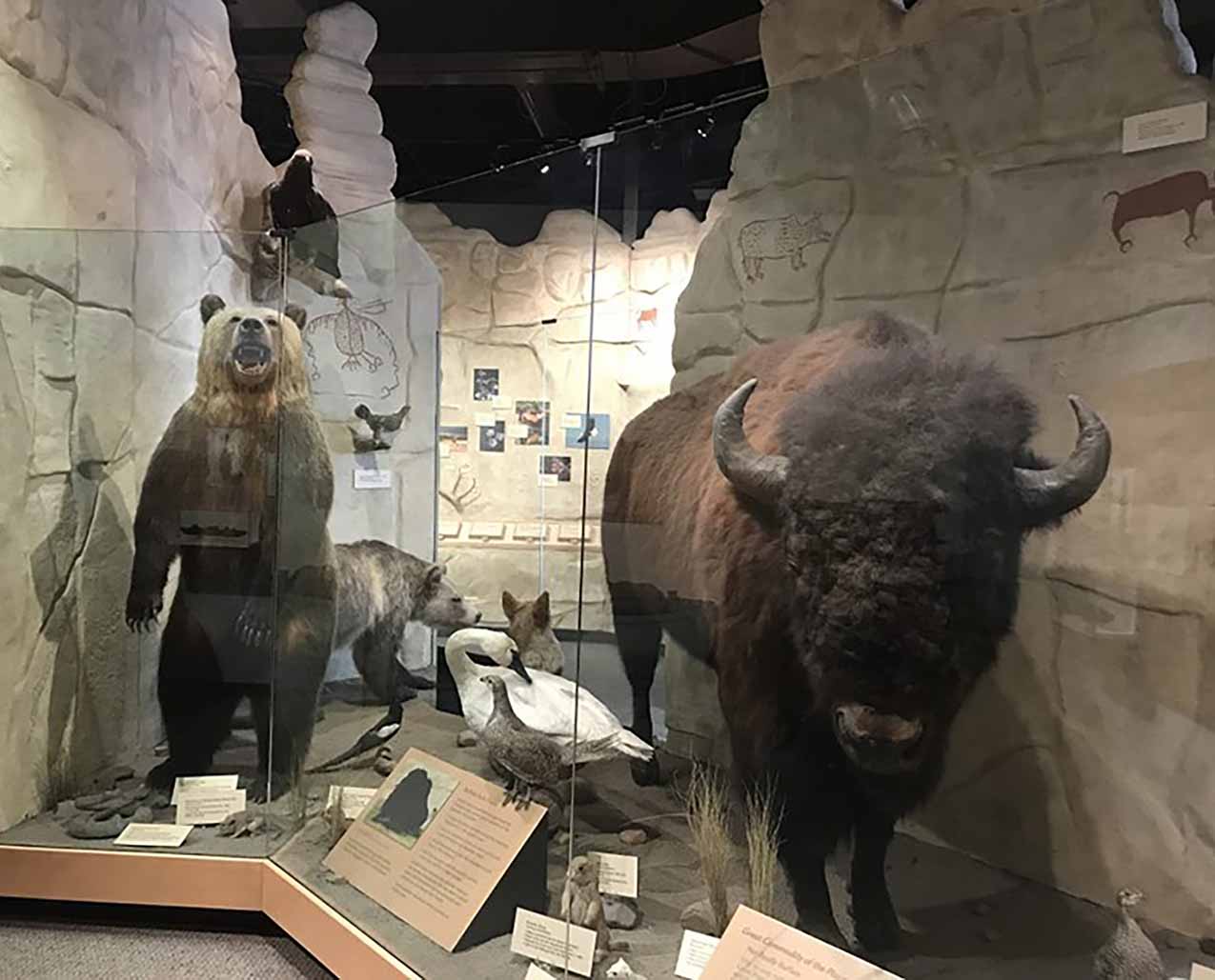 Lewis & Clark Foundation slider image 0