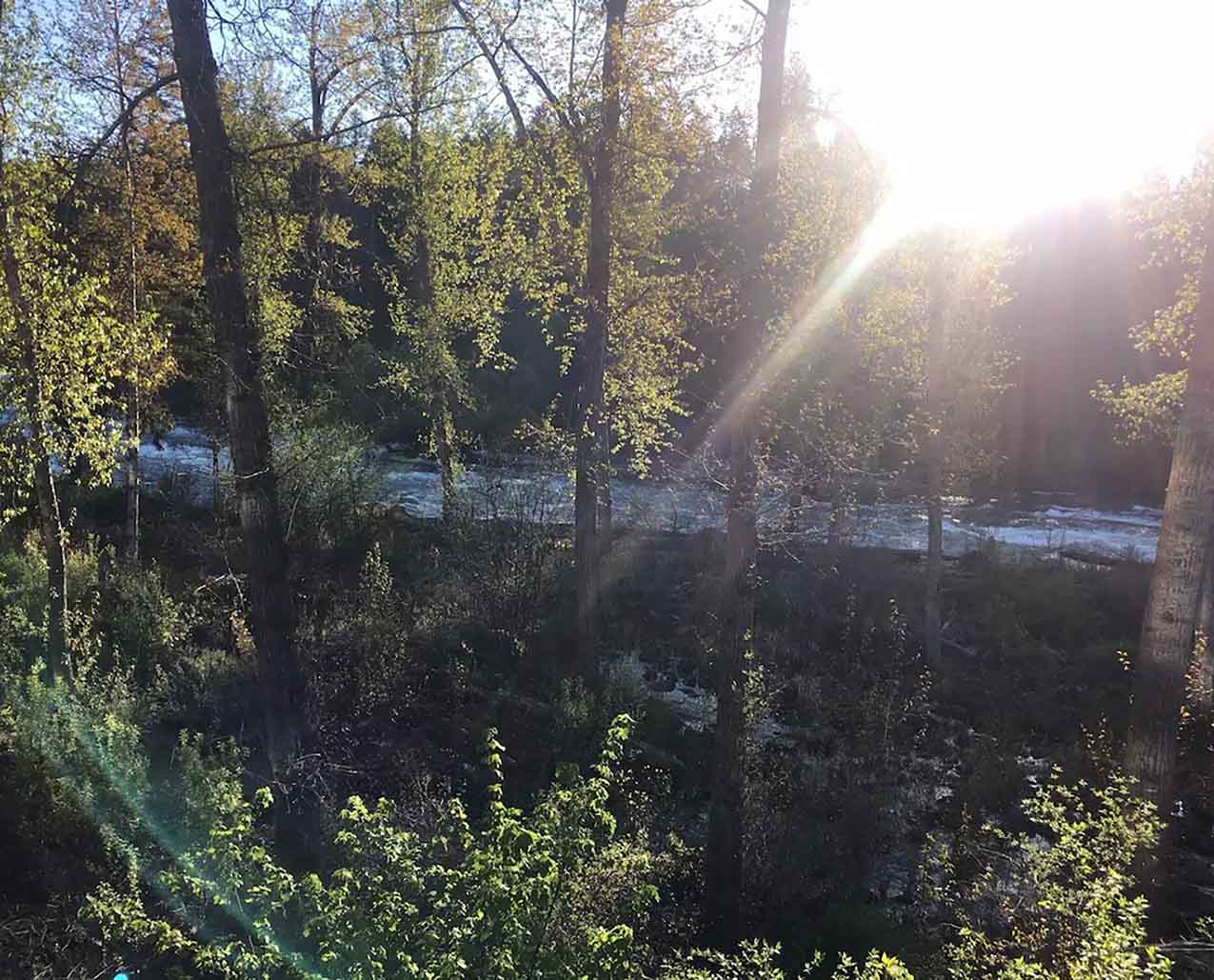 Wild Mile River Retreat slider image 1