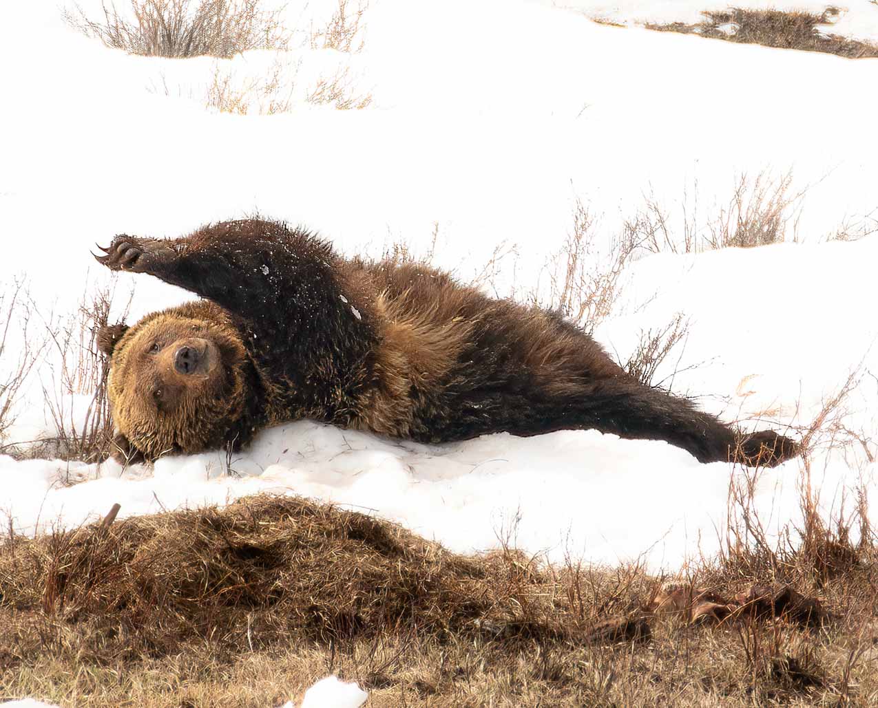 Big Sky Artists' Studio & Gallery slider image 4