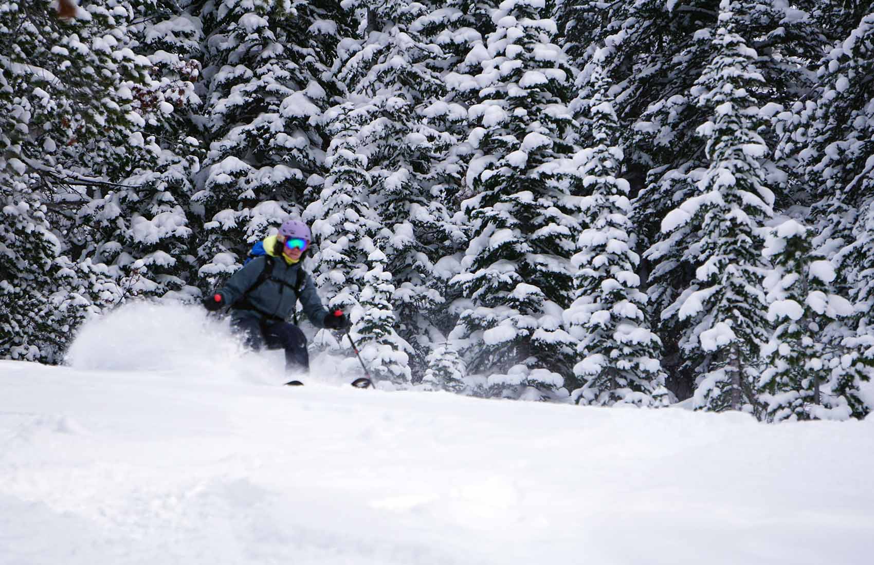 Beartooth Mountain Guides slider image 1