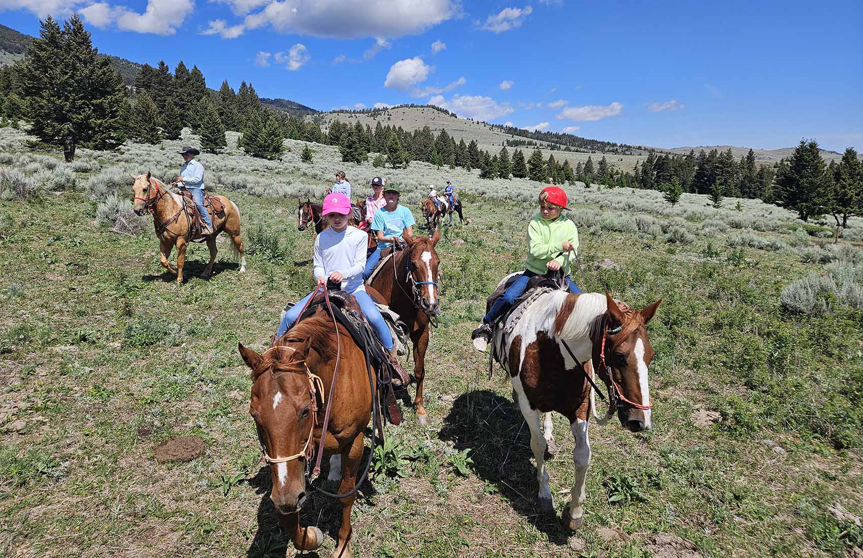 Wolfpack Outfitters Inc