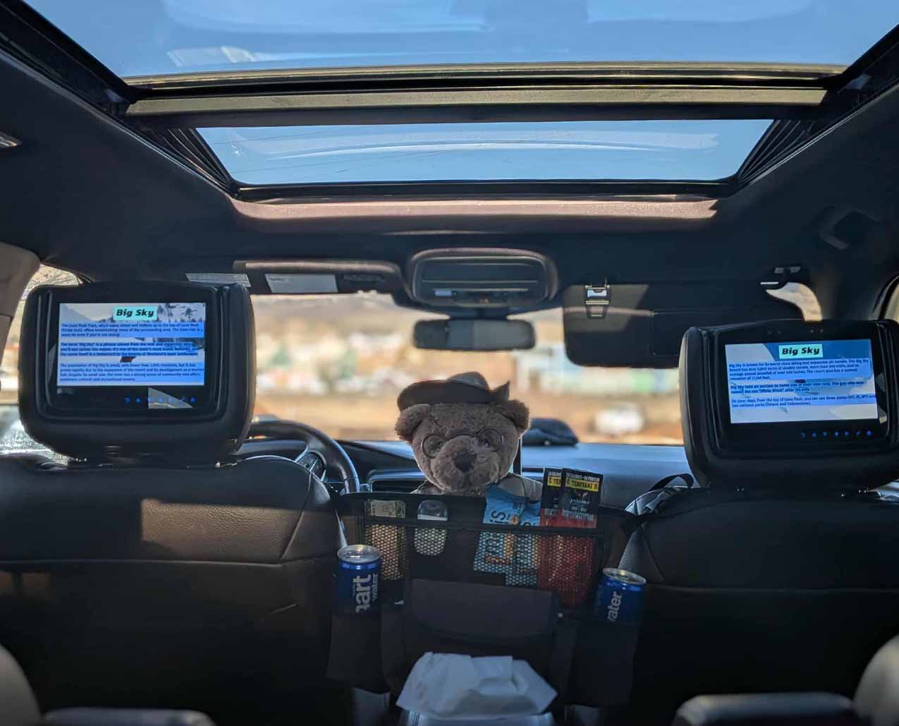 Old Faithful and Friends slider image 1