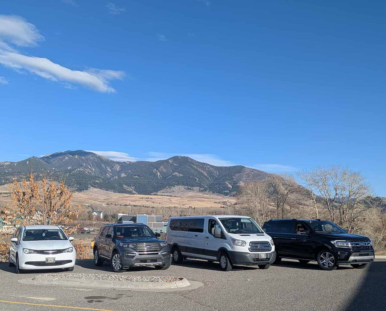 Old Faithful and Friends slider image 0