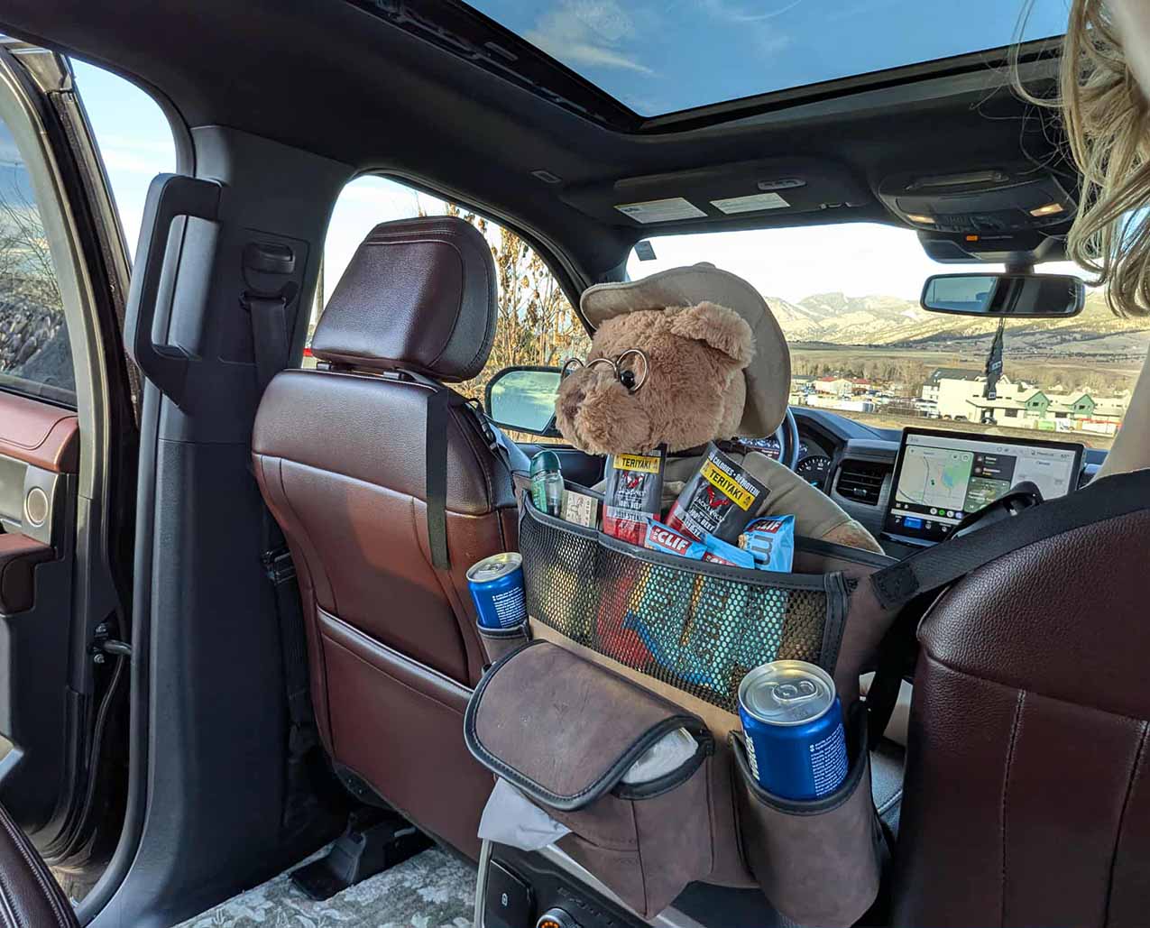 Old Faithful and Friends slider image 2